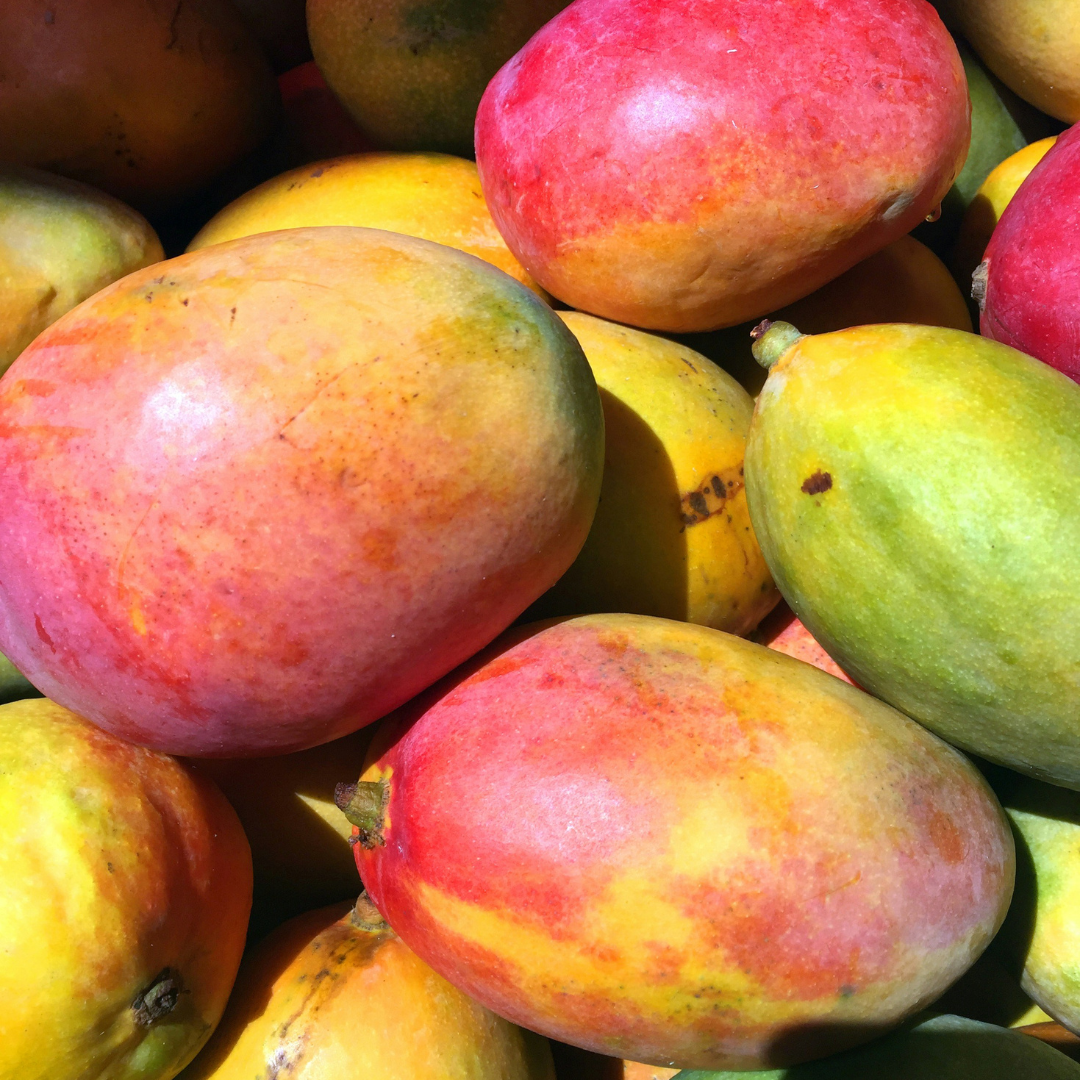 Mango SENSATION
