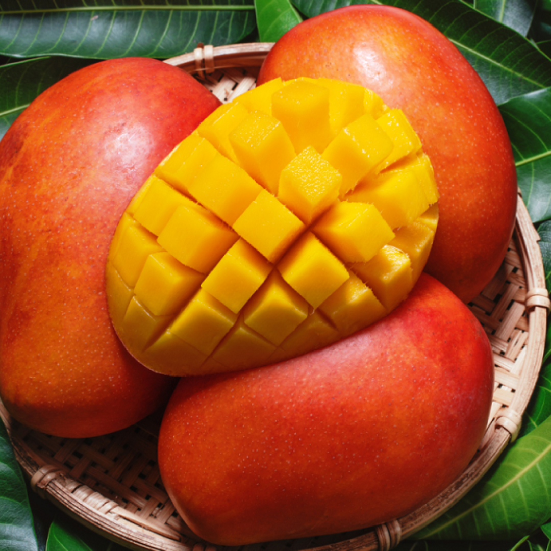 Mango OSTEEN