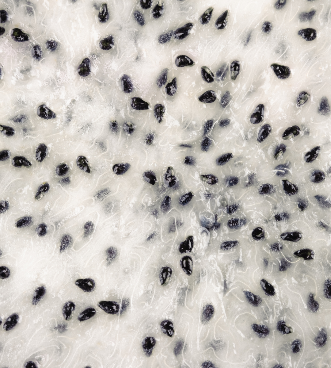 Raudonasis drakono vaisius baltu vidumi (Pitahaya)