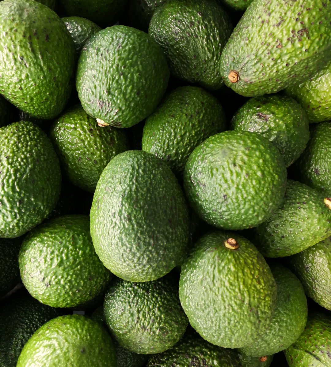 Avokadas HASS